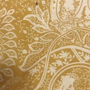 Meet your Posher, Cheenar